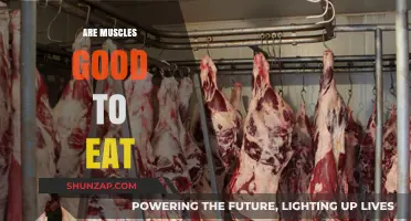 Muscle Meat: Nutritional Benefits and Culinary Uses Explained