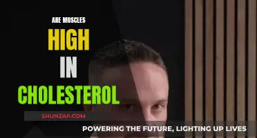 Muscle Growth and Cholesterol: What's the Connection?