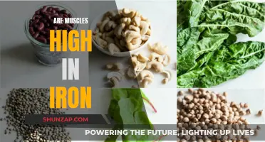 Muscles and Iron: What's the Connection?