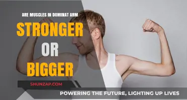 Dominant Arm Muscles: Stronger or Bigger? Unveiling the Asymmetry