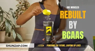 How BCAA Supplements Help Rebuild Muscles