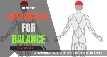 Muscle Power: Balancing Act or Myth?