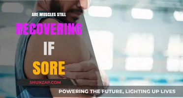 Muscle Soreness and Recovery: Understanding the Connection and Healing Process