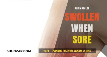 Muscle Soreness and Swelling: Understanding Post-Workout Inflammation