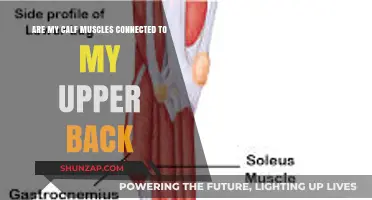Exploring the Surprising Connection Between Calf Muscles and Upper Back
