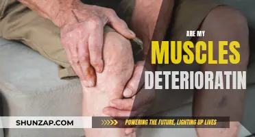 Muscle Deterioration: What's Happening to My Body?