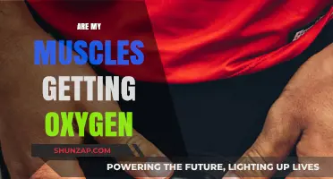 Fuel Your Fitness: Understanding Muscle Oxygenation and Performance