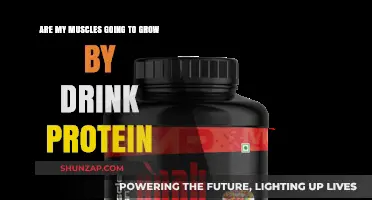 Can Drinking Protein Shakes Alone Build Muscle? The Truth Revealed