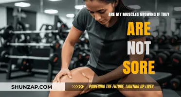 Muscle Growth Without Soreness: Unraveling the Post-Workout Myth