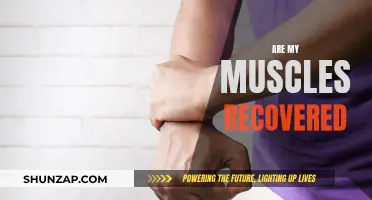 Muscle Recovery: How Do I Know I'm Recovered?