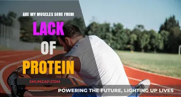 Muscle Soreness and Protein: Unraveling the Connection for Optimal Recovery
