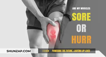 Muscle Soreness vs. Injury: How to Tell the Difference