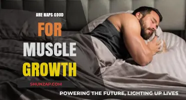 Napping for Gains: How Rest Boosts Muscle Growth and Recovery