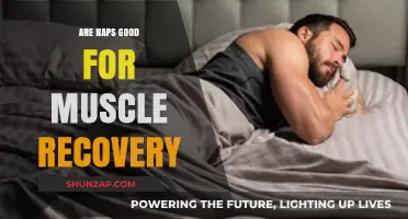 Napping for Muscle Recovery: Boosting Repair and Performance Naturally