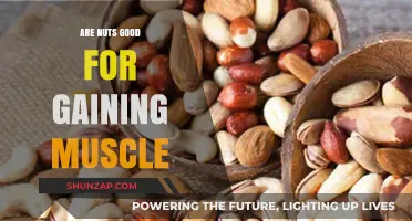 Nuts for Muscle Gain: Unlocking Protein-Packed Snack Power