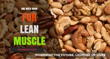Nuts for Lean Muscle: Unlocking Protein Power for Fitness Goals