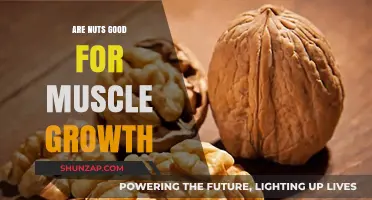 Nuts and Muscle Growth: Unlocking Protein Power for Stronger Gains