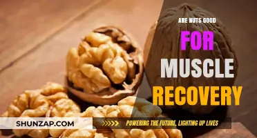 Nuts and Muscle Recovery: Boosting Repair with Nature's Powerhouses