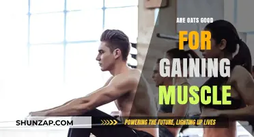 Oats for Muscle Gain: A Nutritional Powerhouse for Fitness Enthusiasts