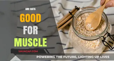 Oats for Muscle Growth: Fueling Strength and Recovery Naturally