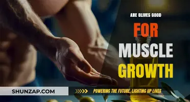 Olives and Muscle Growth: Unlocking the Benefits for Strength Training
