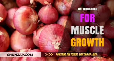 Onions and Muscle Growth: Unlocking the Surprising Benefits for Fitness