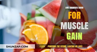 Oranges and Muscle Gain: Unlocking Citrus Benefits for Strength Training