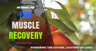 Oranges and Muscle Recovery: Boosting Post-Workout Healing Naturally