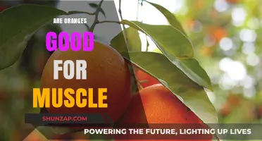 Oranges and Muscle Health: Benefits, Nutrition, and Recovery Insights