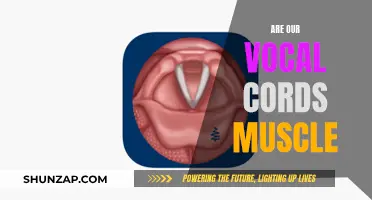 Vocal Cords: Muscles That Make Us Sing