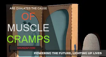 Oxalates and Muscle Cramps: What's the Connection?