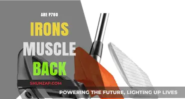 Exploring the Design and Performance of P790 Irons: Are They Muscle Back?