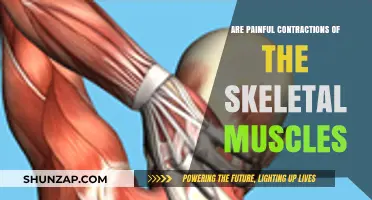 Understanding Painful Skeletal Muscle Contractions: Causes, Symptoms, and Relief