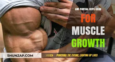 Partial Reps for Muscle Growth: Effective Strategy or Waste of Time?