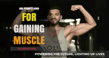 Peanuts for Muscle Gain: Nutritional Benefits and Effective Strategies