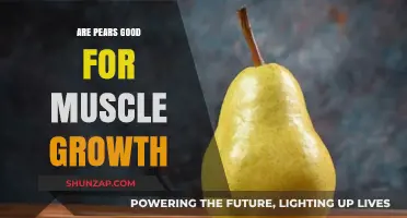 Pears and Muscle Growth: Unlocking the Nutritional Benefits for Fitness
