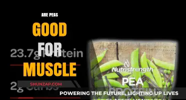 Peas and Protein: Unlocking Muscle Growth with This Green Superfood