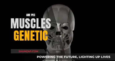 The Truth About Pec Muscles: Nature or Nurture?