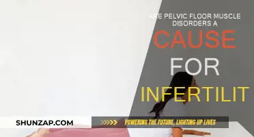 Pelvic Floor Disorders: Infertility's Overlooked Cause