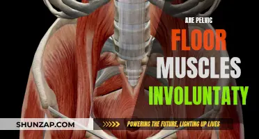 Pelvic Floor Muscles: What's the Deal with Involuntary Action?