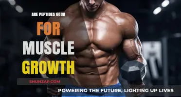 Peptides for Muscle Growth: Benefits, Science, and Effectiveness Explained
