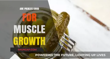 Pickles and Muscle Growth: Unpickling the Truth for Fitness Enthusiasts