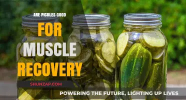 Pickles for Muscle Recovery: Unpickling the Truth About Post-Workout Snacks