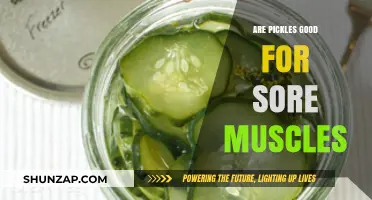 Pickles for Sore Muscles: Natural Relief or Myth?