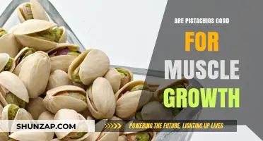 Pistachios and Muscle Growth: Unlocking Nutritional Benefits for Strength