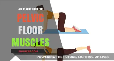 Planks and Pelvic Floor Health: Strengthening Benefits or Risks?