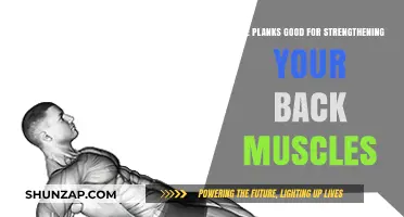 Planks: Effective Back Muscle Strengthener or Overrated Exercise?