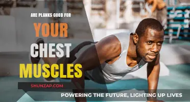 Planks and Chest Muscles: Effective Exercise or Overrated Myth?