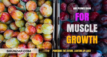 Plums and Muscle Growth: Unlocking the Fruit's Potential for Fitness