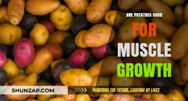 Potatoes and Muscle Growth: Unlocking the Starchy Superfood's Potential